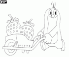 The little mole Krtek carrying two strawberries in a wheelbarrow