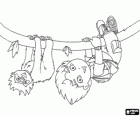 The adventurer Diego hanging from a branch with a monkey