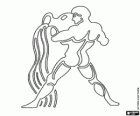 Aquarius. Water Carrier. Eleventh sign of the zodiac. The Latin name is Aquarius