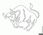 Taurus. The bull. Second sign of the zodiac. Latin name Taurus