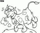 The sneezing of Mimosa the Cow