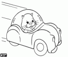 Pipsqueak the hamster driving a small car