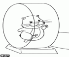 Pipsqueak the hamster playing and exercising in the wheel
