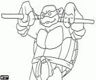 Donatello, the weapon of this ninja turtle is the japanese long staff Bo