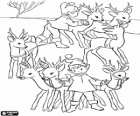 Christmas elves take care of the magical reindeer for Christmas Eve