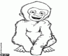 Snowflake, the movie of the little white gorilla