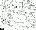 Hamtaro with other hamsters playing in the pond with a duck