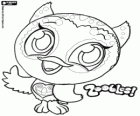 Owl from PineGrove forest in the world of Zoobles