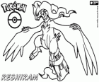 Reshiram, legendary Pokémon, Dragon / Fire. Pokémon Black mascot