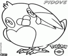 Pidove, normal and flying type pokémon. Pidove evolves to Tranquill and to Unfezant. Mamepato