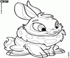 Cybunny, the beautiful bunny from Neopets