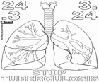 World TB Day, World Tuberculosis Day, March 24. The lungs