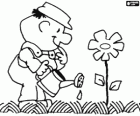 Gardener watering a flower in spring