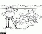 Linny, Tuck and Ming Ming in the garden. Wonder Pets