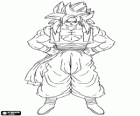 Son Goku, a Super warrior fourth level, Super Saiyan 4