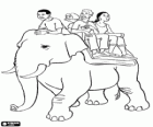 Elephant taxi. Group of persons traveling sitting on a platform over an elephant