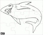 Shark puzzle. Fishes puzzle