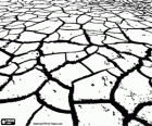The dry earth. The cracked mud, the result of the drought