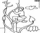 Jack and the Beanstalk. Jack climbs the bean stalk