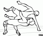 Freestyle wrestling combat