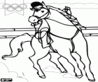 Equestrian at the Summer Olympics