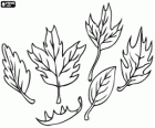Different types of leaves