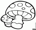 Poisonous mushrooms. Mushrooms of the gnomes