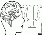 World Mental Health Day, 10 October. The human brain and the greek letter Psi as symbol of the psychology