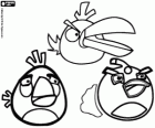 Three of the birds from Angry Birds