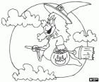 The night of Halloween, a witch on her magic broom