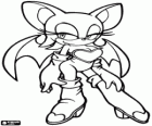 Rouge the Bat, a female bat, treasure hunter who wants all the gems of the world