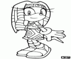 Tikal, the daughter of Chief Pachacamac from the Knuckles tribe