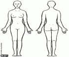 The woman. Female human body, front and back