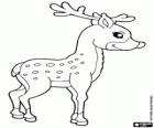 Deer