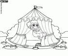 Circus tent