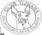 Logo of the Club Tijuana Xoloitzcuintles de Caliente, Xolos de Tijuana. Mexican football team
