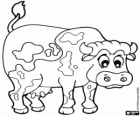 Cow