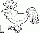 Rooster