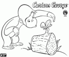 Curious George observing a butterfly on a tree trunk