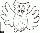 Owl with open wings