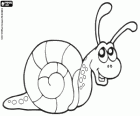 Snail
