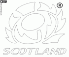 Logo of the Scotland rugby national team. Emblem, the Thistle