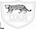Logo of the Argentina national rugby team, los pumas. Emblem, the jaguar