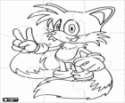 Puzzle of Miles Prower, Tails is a fox with two tails can fly