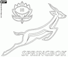 Logo of the South Africa national rugby team, the springboks. Emblem, the springbok and the protea