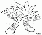 Silver the Hedgehog's puzzle, the Hedgehog coming from the future