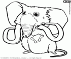Mousephant, small elephant with the body and the tail of mouse