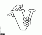 Letter V with a little bird and a raceme of fruit