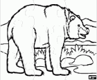 Puzzle of a bear in the landscape