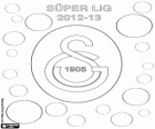 Galatasaray, champion Super Lig 2012-2013, Turkey Football League